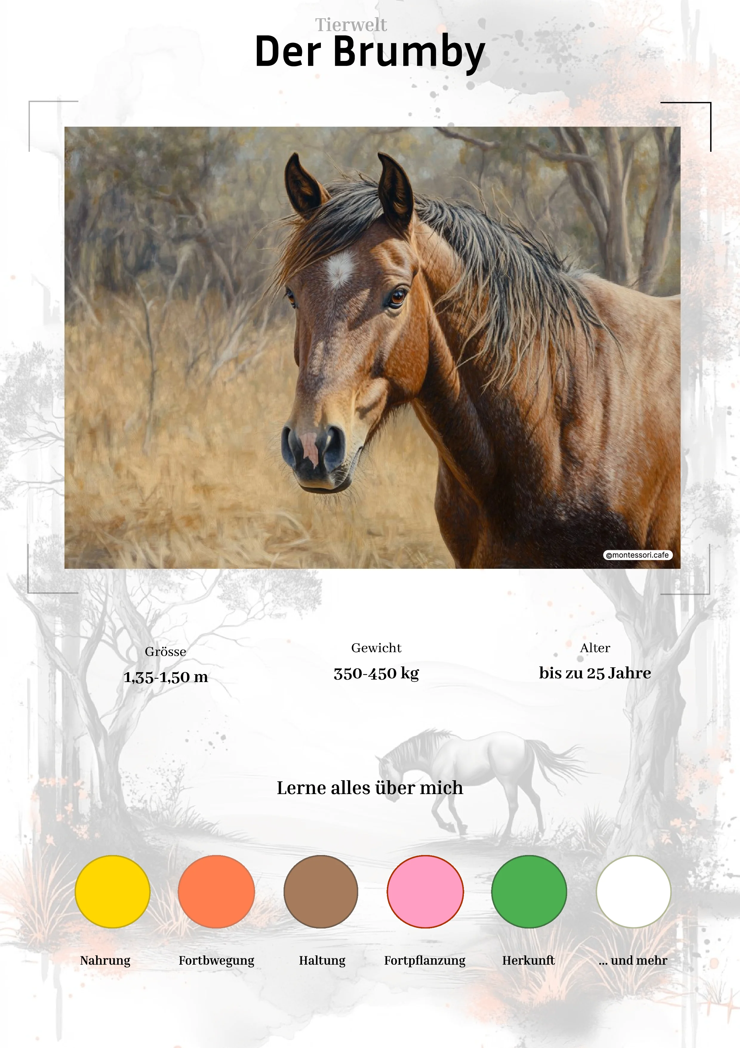 Der Brumby - Ganzheitliche Lernkarten