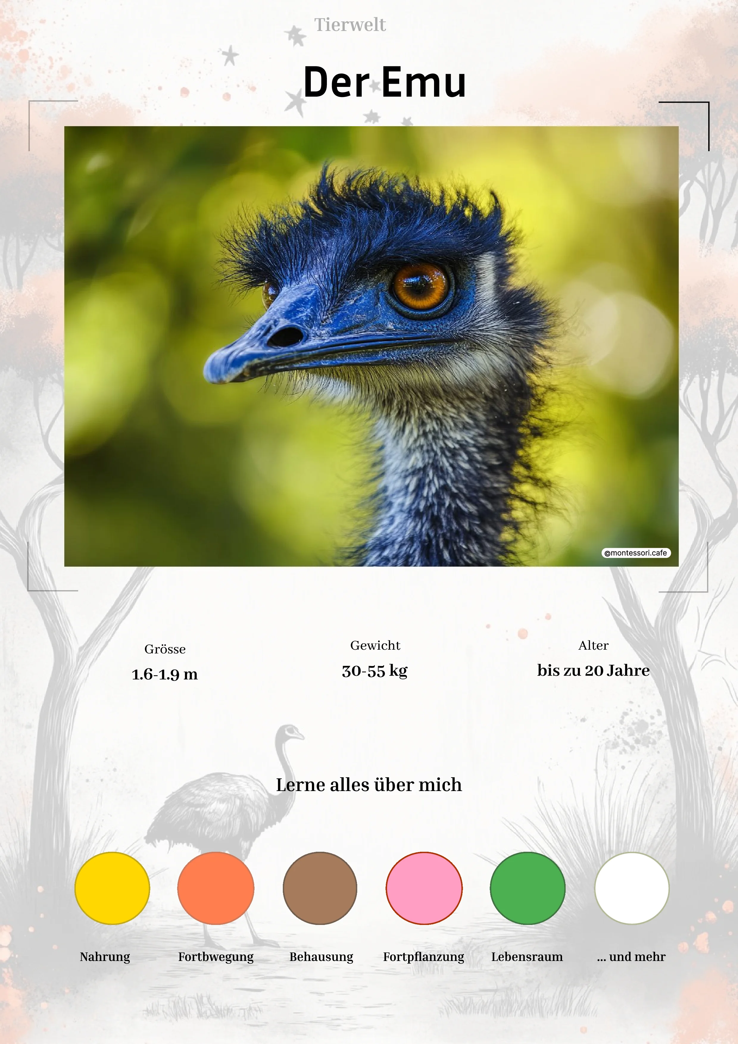 Der Emu - Lernkarten